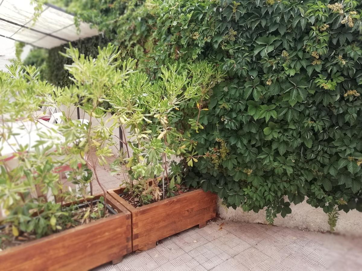 Hotel Noto Marina Stella Marina - B&B Lido di Noto Bagian luar foto
